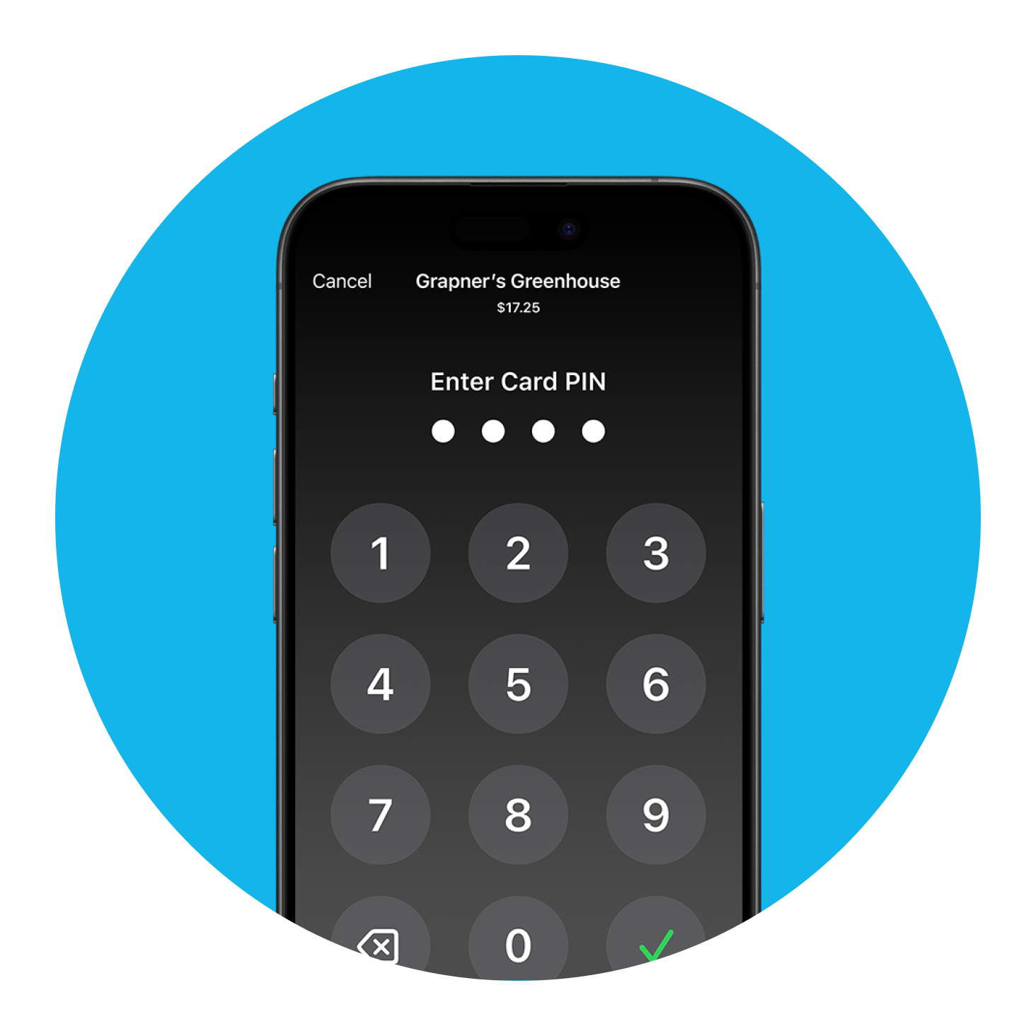 An iPhone display asking for a pin card to be entered.